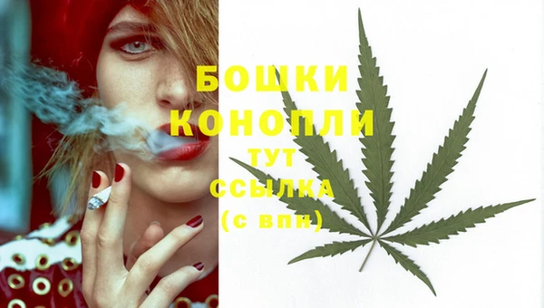 прущие крисы Богородицк