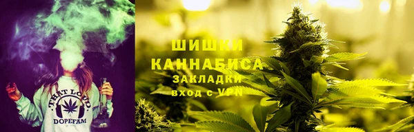 Альфа ПВП Богородск