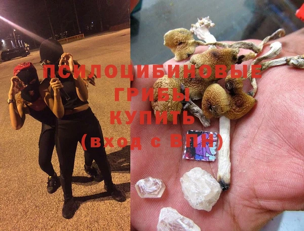 2c-b Богданович