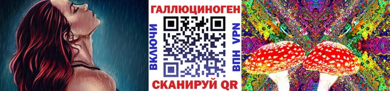 Купить где  Жиздра  Псилоцибиновые грибы прущие грибы 