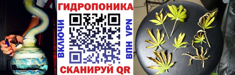 Купить где  Жиздра  Бошки Шишки семена 